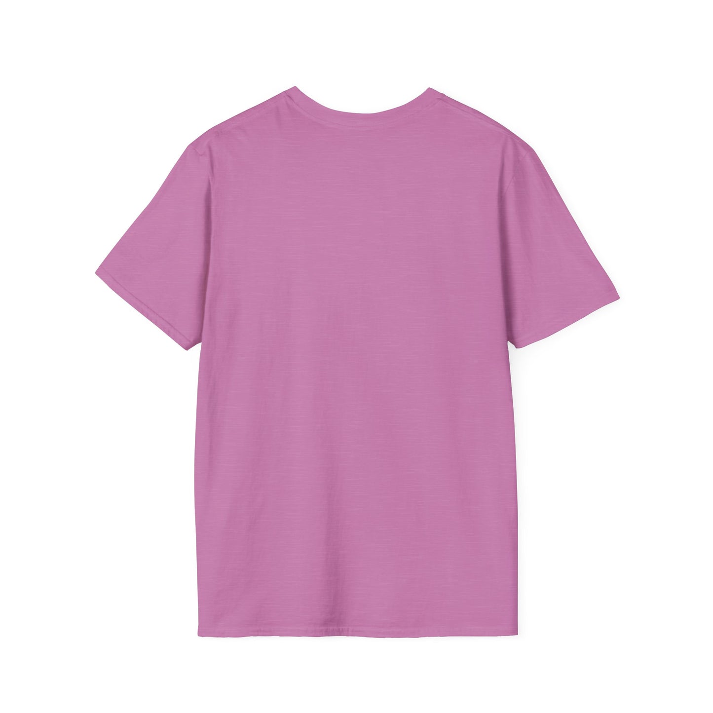 Camiseta inspirada en el discípulo 